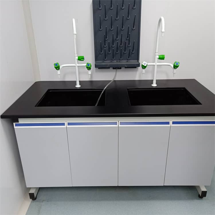 chemical resistant lab sink and faucet
